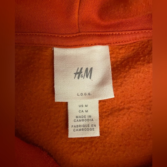 Orange H&M Mount Rainier Hoodie - Picture 4 of 4